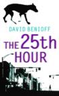 The 25th Hour - eBook