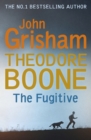 Theodore Boone: The Fugitive : Theodore Boone 5 - eBook
