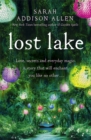Lost Lake - Book