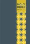NIV Pocket Blue Soft-tone Bible with Clasp - Book