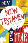 NIV Soul Survivor New Testament in One Year - Book