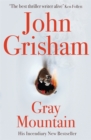 Gray Mountain - Book