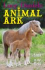 Foals in the Field - Book