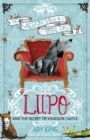 Lupo and the Secret of Windsor Castle : Book 1 - eBook