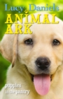 Animal Ark: Puppies in the Pantry - eBook
