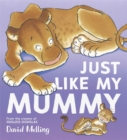 Just Like My Mummy - Book