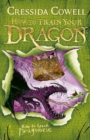 How to Train Your Dragon: How To Speak Dragonese : Book 3 - eBook