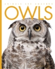 Animals Are Amazing: Owls - Book