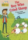 Hopscotch Twisty Tales: The Boy Who Cried Sheep! - Book