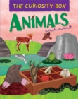 The Curiosity Box: Animals - Book