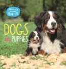 Animals and their Babies: Dogs & puppies - Book