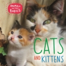 Animals and their Babies: Cats & kittens - Book