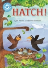 Reading Champion: Hatch! : Independent Reading Blue 4 - Book