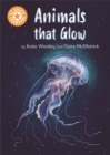 Reading Champion: Animals that Glow : Independent Reading Orange 6 Non-fiction - Book