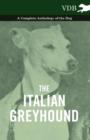 The Italian Greyhound - A Complete Anthology of the Dog - Book