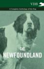 The Newfoundland - A Complete Anthology of the Dog - Book