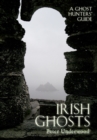 Irish Ghosts : A Ghost Hunters' Guide - eBook