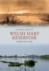 Welsh Harp Reservoir Through Time - eBook