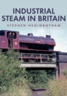 Industrial Steam in Britain - Book