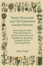 Hardy Perennials And Old-Fashioned Garden Flowers - Describing The Most Desirable Plants For Borders, Rockeries, And Shrubberies, Including Foliage As Well As Flowering Plants - Book