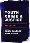 Youth Crime and Justice - Book