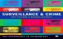 Surveillance and Crime - eBook