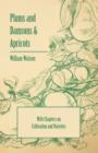 Plums and Damsons & Apricots - With Chapters on Cultivation and Varieties - Book