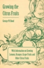 Growing the Citrus Fruits - With Information on Growing Lemons, Oranges, Grape Fruits and Other Citrus Fruits - Book