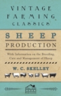 Sheep Production - With Information on the Breeding, Care and Management of Sheep - Book