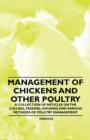 Management of Chickens and Other Poultry - A Collection of Articles on the Culling, Feeding, Housing and Various Methods of Poultry Management - Book