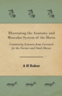 Illustrating the Anatomy and Muscular System of the Horse - Containing Extracts from Livestock for the Farmer and Stock Owner - Book
