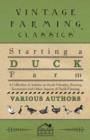 Starting a Duck Farm - A Collection of Articles on Stock Selection, Rearing, Economics and Other Aspects of Duck Farming - Book