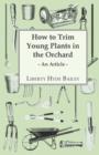 How to Trim Young Plants in the Orchard - An Article - Book