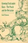 Growing Fruit Under Glass - The Peach and the Nectarine - Book