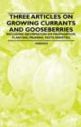 Three Articles on Growing Currants and Gooseberries - Including Information on Propagation, Planting, Pruning, Pests, Varieties - Book