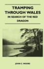 Tramping Through Wales - In Search of the Red Dragon - Book