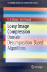 Lossy Image Compression : Domain Decomposition-Based Algorithms - Book