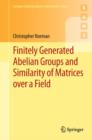 Finitely Generated Abelian Groups and Similarity of Matrices over a Field - eBook