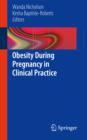 Obesity During Pregnancy in Clinical Practice - Book