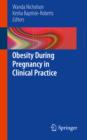 Obesity During Pregnancy in Clinical Practice - eBook