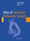 Atlas of Advanced Endoaortic Surgery - eBook