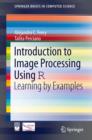 Introduction to Image Processing Using R : Learning by Examples - eBook