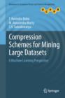 Compression Schemes for Mining Large Datasets : A Machine Learning Perspective - Book