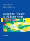 Congenital Diseases in the Right Heart - Book
