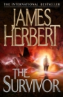 The Survivor - eBook