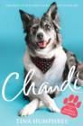 Chandi : The Rescue Dog Who Stole a Nation's Heart - eBook