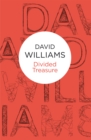 Divided Treasure - eBook