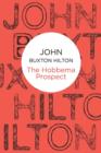 The Hobbema Prospect - Book