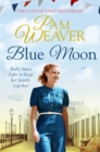 Blue Moon - eBook