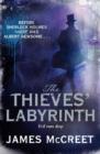 The Thieves' Labyrinth - Book